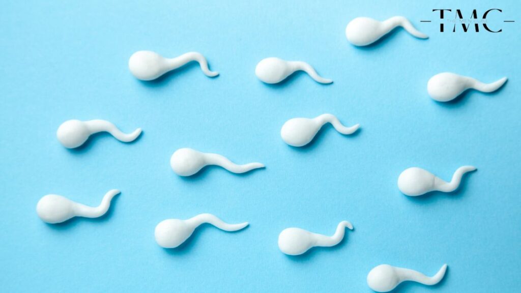 How to Make Sperm Thicker and Stronger how to make sperm thicker and stronger