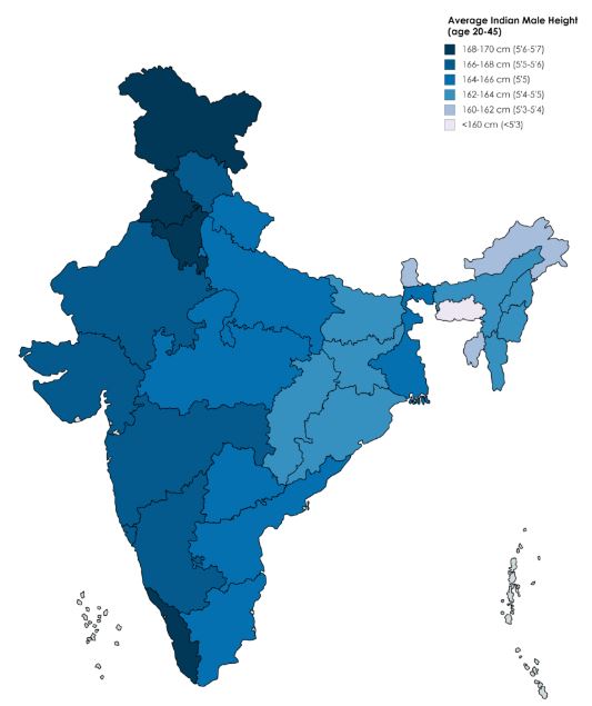 average male height in India state-wise
