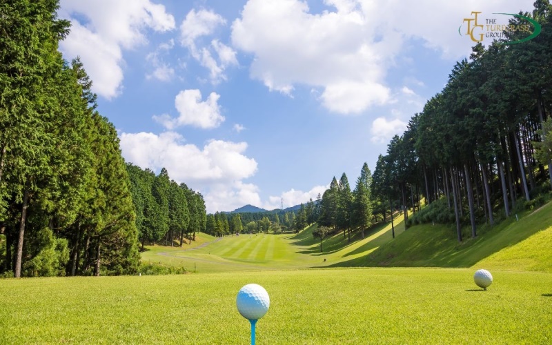 How To Transform Your Lawn To Golf Course Quality